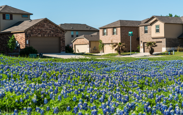 Which Texas Mortgage Company is Right for You? Helpful Tips and Information